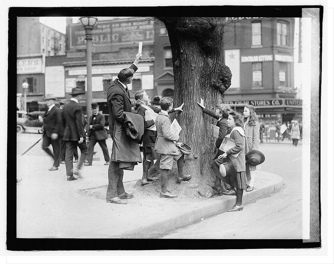 Kids examining the trunk of the Morse Elm which stood on the NW corner of Fourteenth Street and Pennsylvania Avenue, NW.  It was cut down in 1921 during a road widening project.  The tree was named for the inventor Samuel F. B. Morse, who was reported to have held meetings beneath it in 1849 regarding U.S. government use of his newly-patented telegraph…… American Forests magazine, April 1931. 